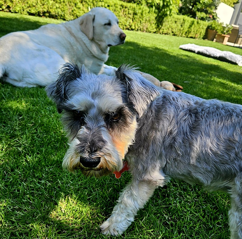 daycare