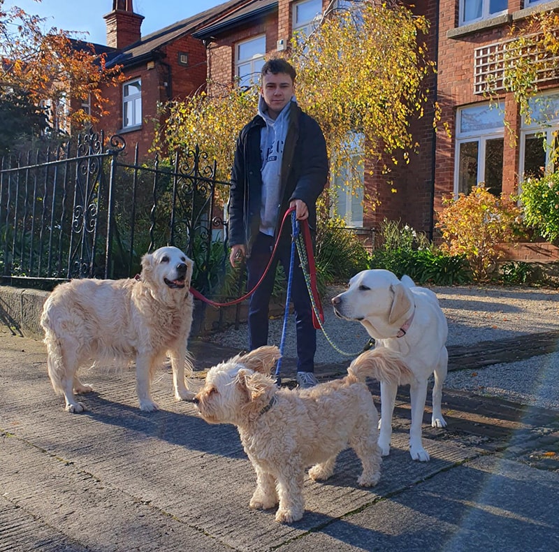 dog walking